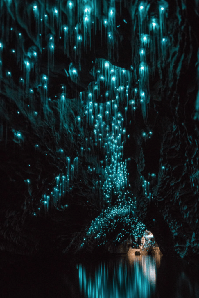 Epic Experience Black Water Rafting in the Waitomo Glowworm Caves 9 Long exposure shot of the blue glow of the worms in the Waitomo Caves reflecting on the underground river