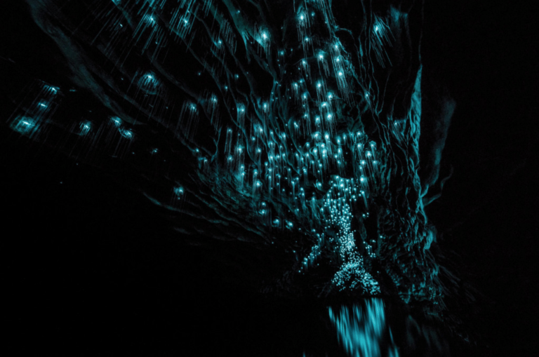 An image of a blue light in the dark at Waitomo Glowworm Caves.