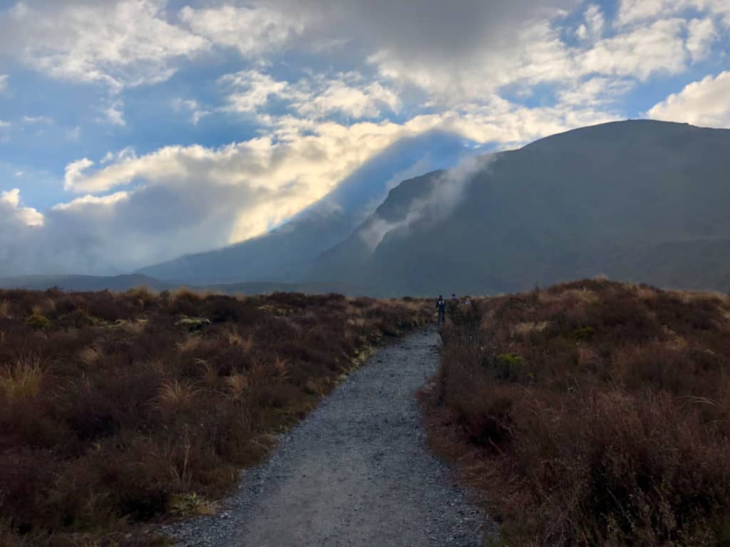How to Hike the Tongariro Alpine Crossing and Why You'd Want To 2 The starting gravel path through fields of brush at the beginning of the Tongariro Alpine Crossing with the mountains silhouetted by the rising sun