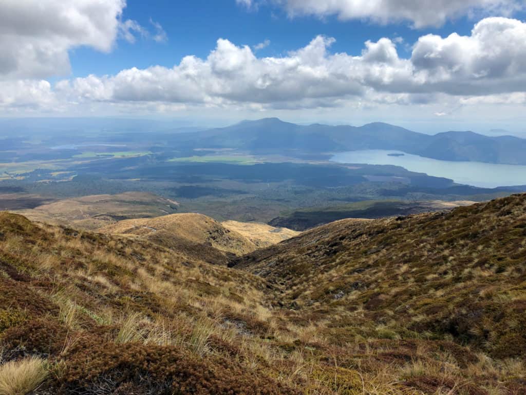 How to Hike the Tongariro Alpine Crossing and Why You'd Want To 11 The view of Lake Taupo from the descent of the Tongariro Alpine Crossing hiking trail through the fields of yellow grass