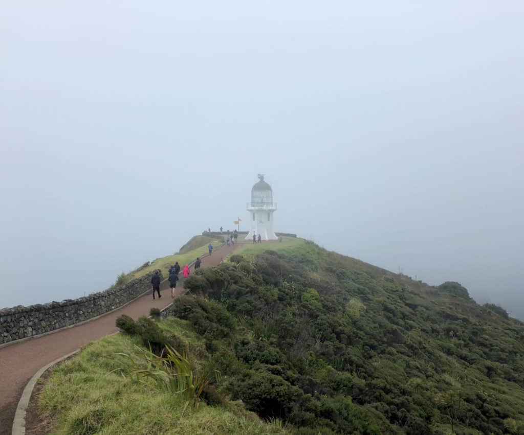 25 Pros and Cons of Living in New Zealand 5 Travel the Pathway to the Underworld at Cape Reinga to the lighthouse on a foggy day in New Zealand