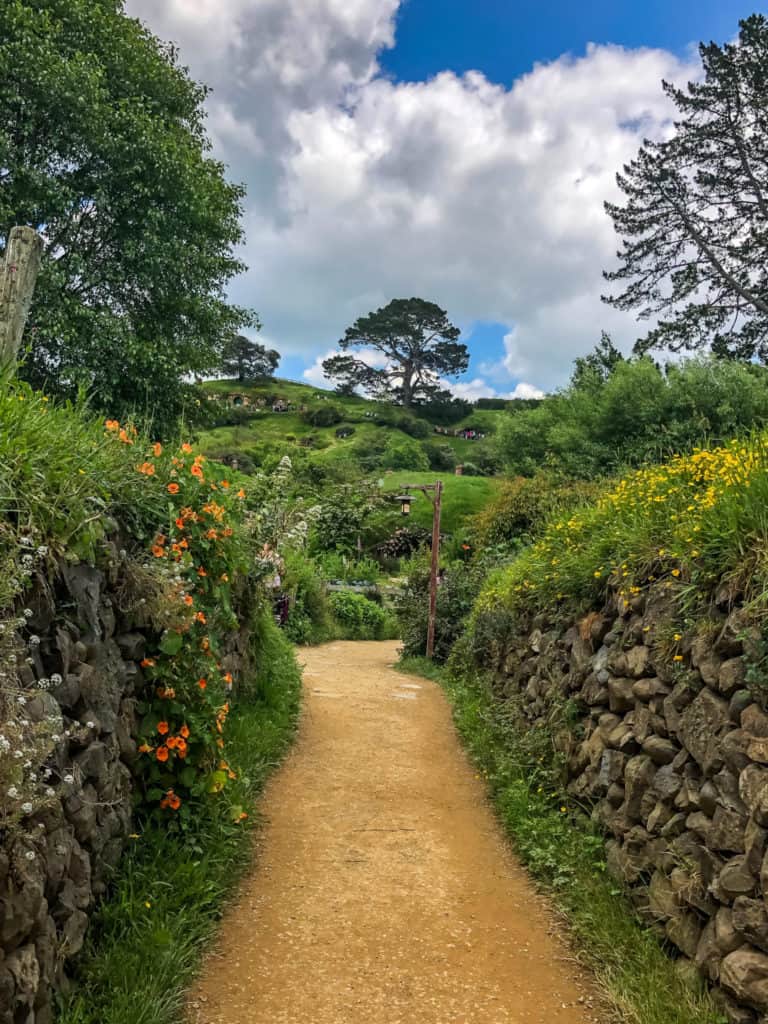 Visiting the Stunning Hobbiton Movie Set in New Zealand 5 Entrance to Hobbiton New Zealand's movie set tour: a yellow sand path with a large tree at the top of a hill