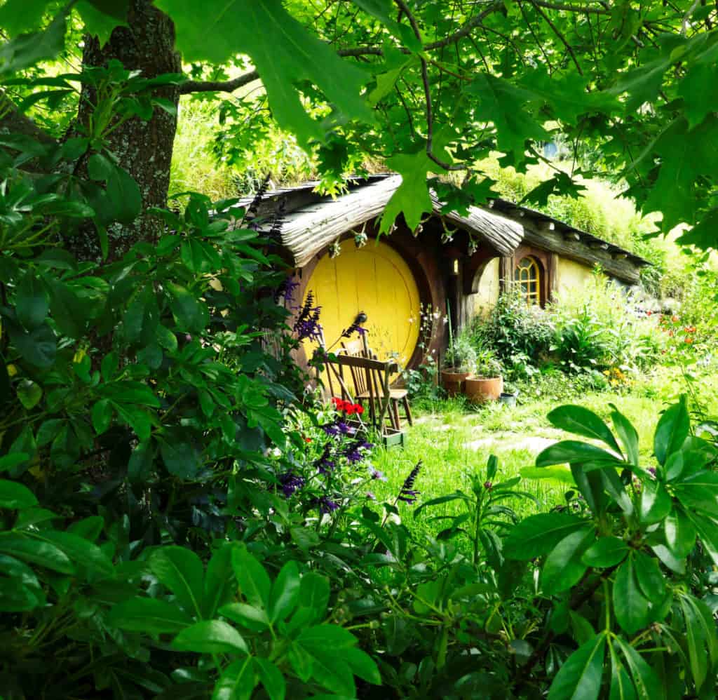 Visiting the Stunning Hobbiton Movie Set in New Zealand 16 Yellow hobbit door at Hobbiton taken through the green leaves of the trees.