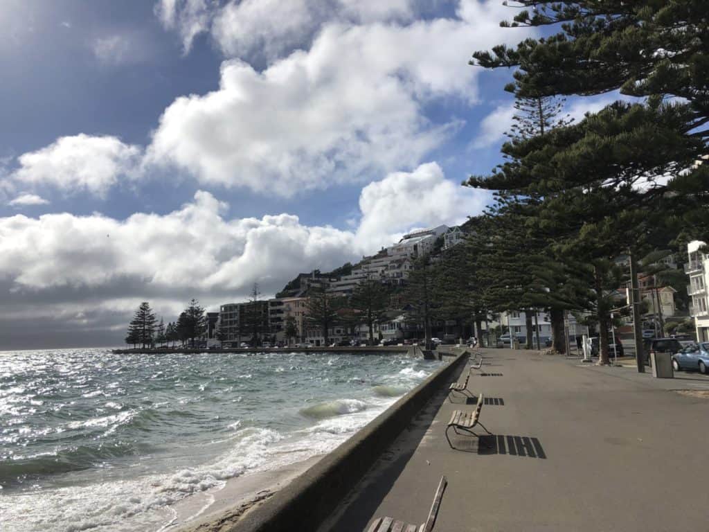 Living in Auckland vs. Wellington: Which is Better & Why? 2 Windy Wellington harbour with the waves lapping at the shore of the beach