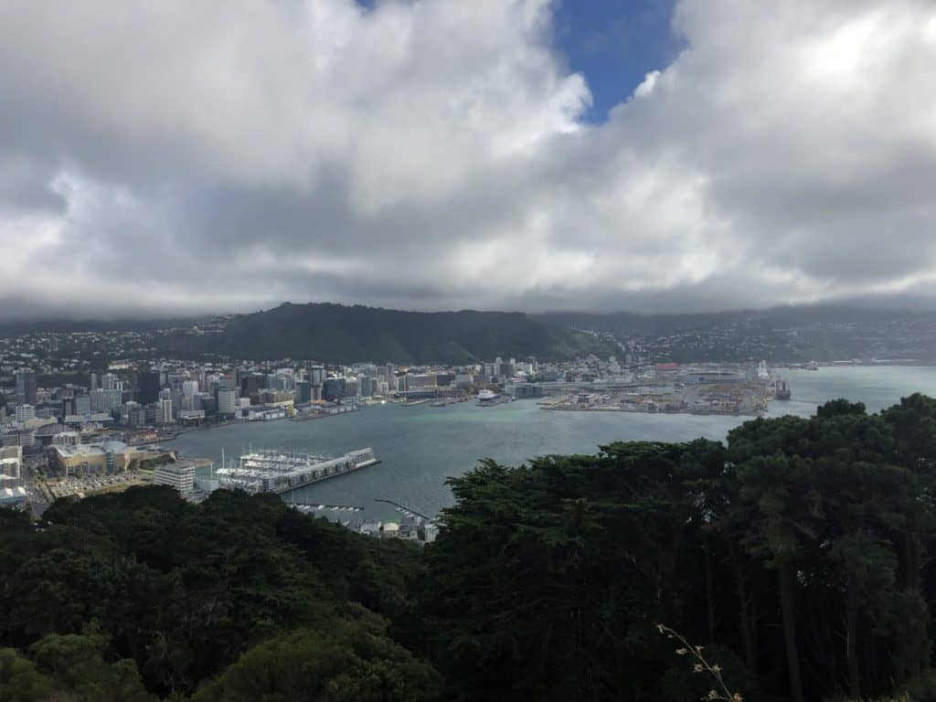 17 Top Things to Do In North Island New Zealand (2024) 10 IMG 4633
