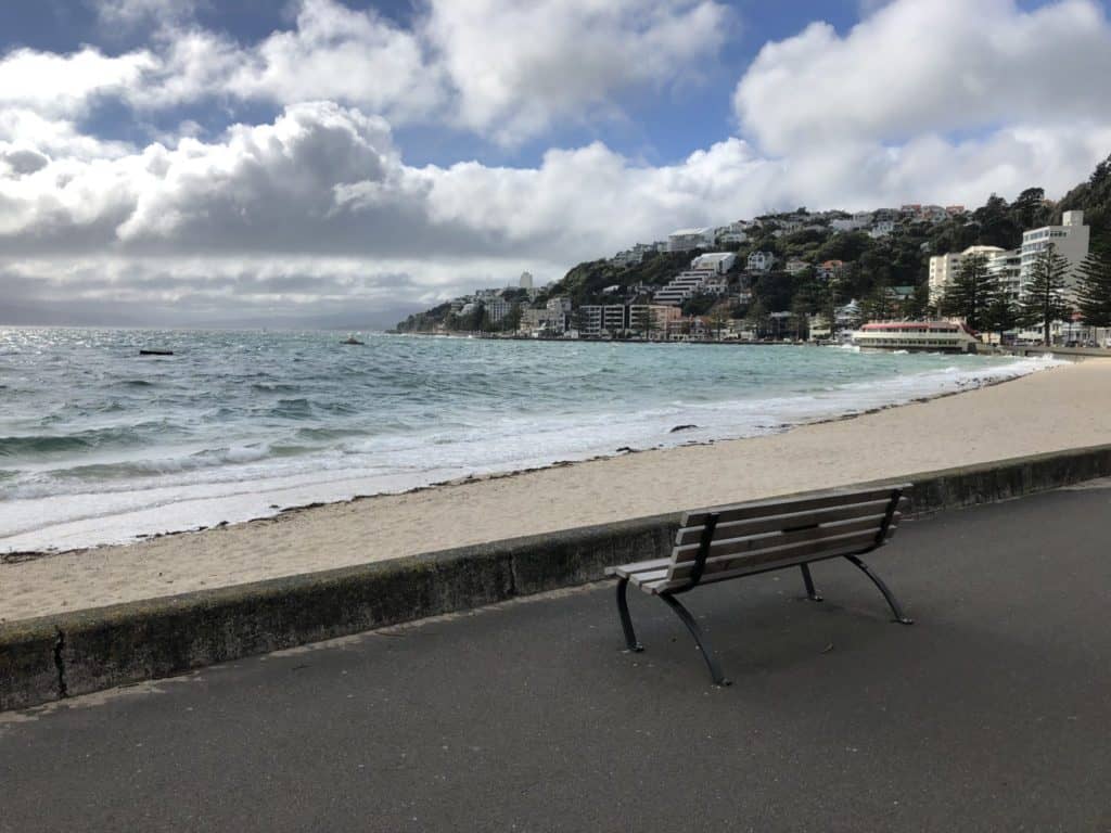 20 Best Things to Do in Wellington, New Zealand 2 Oriental bay beach is a great thing to do in Wellington New Zealand