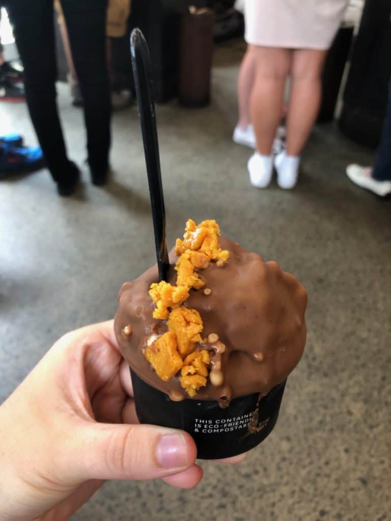 43 Must Try Kiwi Food: Best New Zealand Food and Snacks 2024 12 Giapo's hokey pokey ice cream, topped with chocolate on top - New Zealand food to try in Auckland