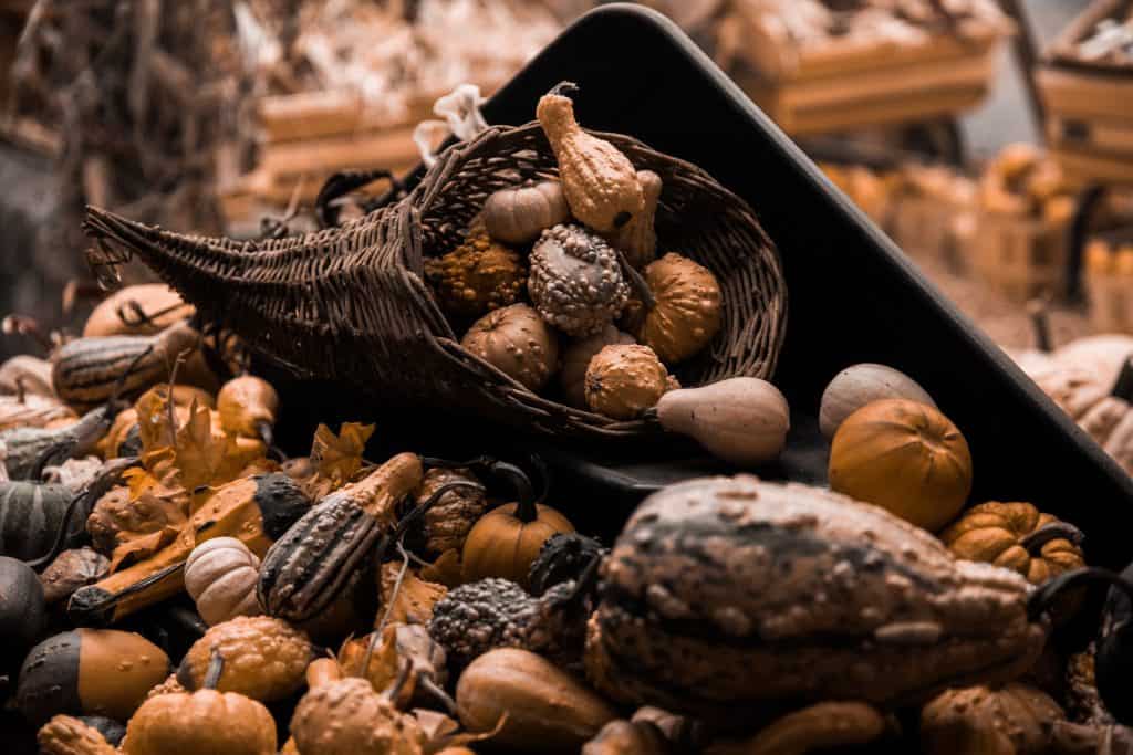 Canadian vs American Thanksgiving: What's the Difference? 2 Thanksgiving cornucopia filled with gourds