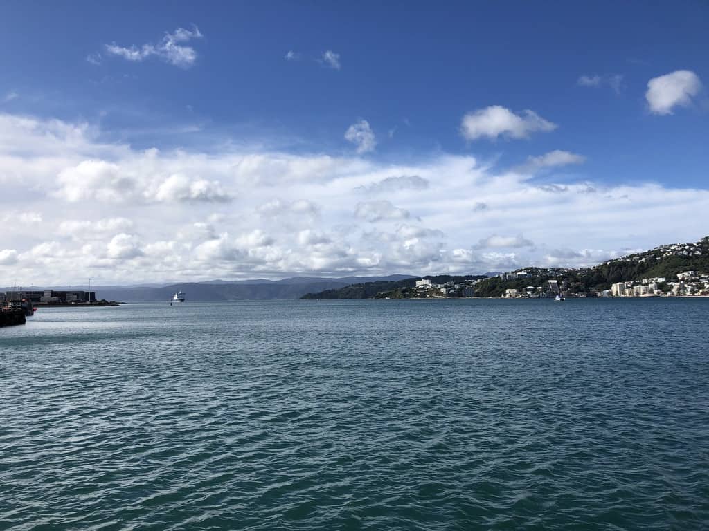 17 Top Things to Do In North Island New Zealand (2024) 11 2A026A98 908B 49AA AC7E B6BDB05D656F 1 105 c