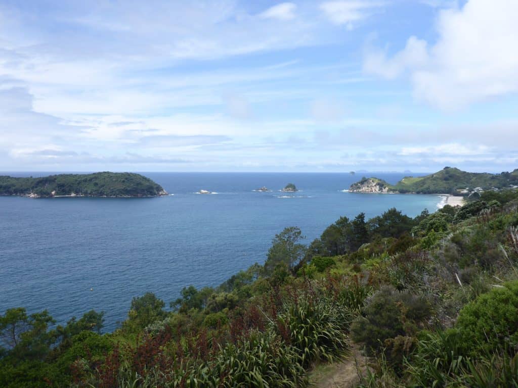 17 Top Things to Do In North Island New Zealand (2024) 6 P1030979