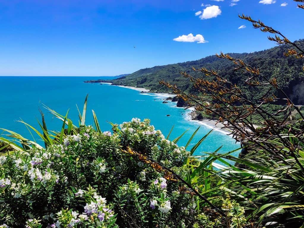 What is the Best Time of Year to Visit New Zealand? 6 View over a New Zealand mountain looking into the crystal blue ocean