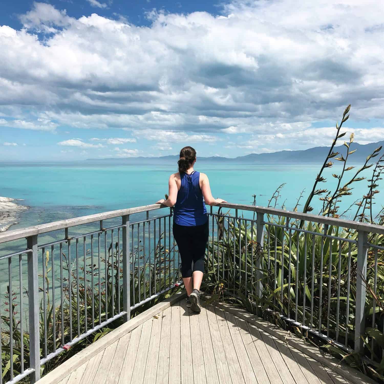 About Nina 11 Nina overlooking Kaikoura in New Zealand