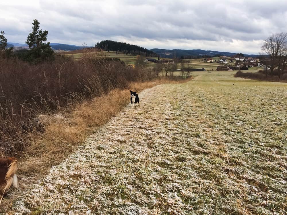 Workaway Reviews: My Experience Volunteering Abroad 21 IMG 1768