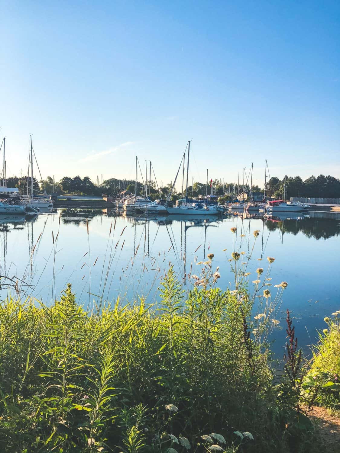 Scarborough Bluffs Trail: Hiking to the Best Lookout 18 Bluffs marina sailing in Toronto