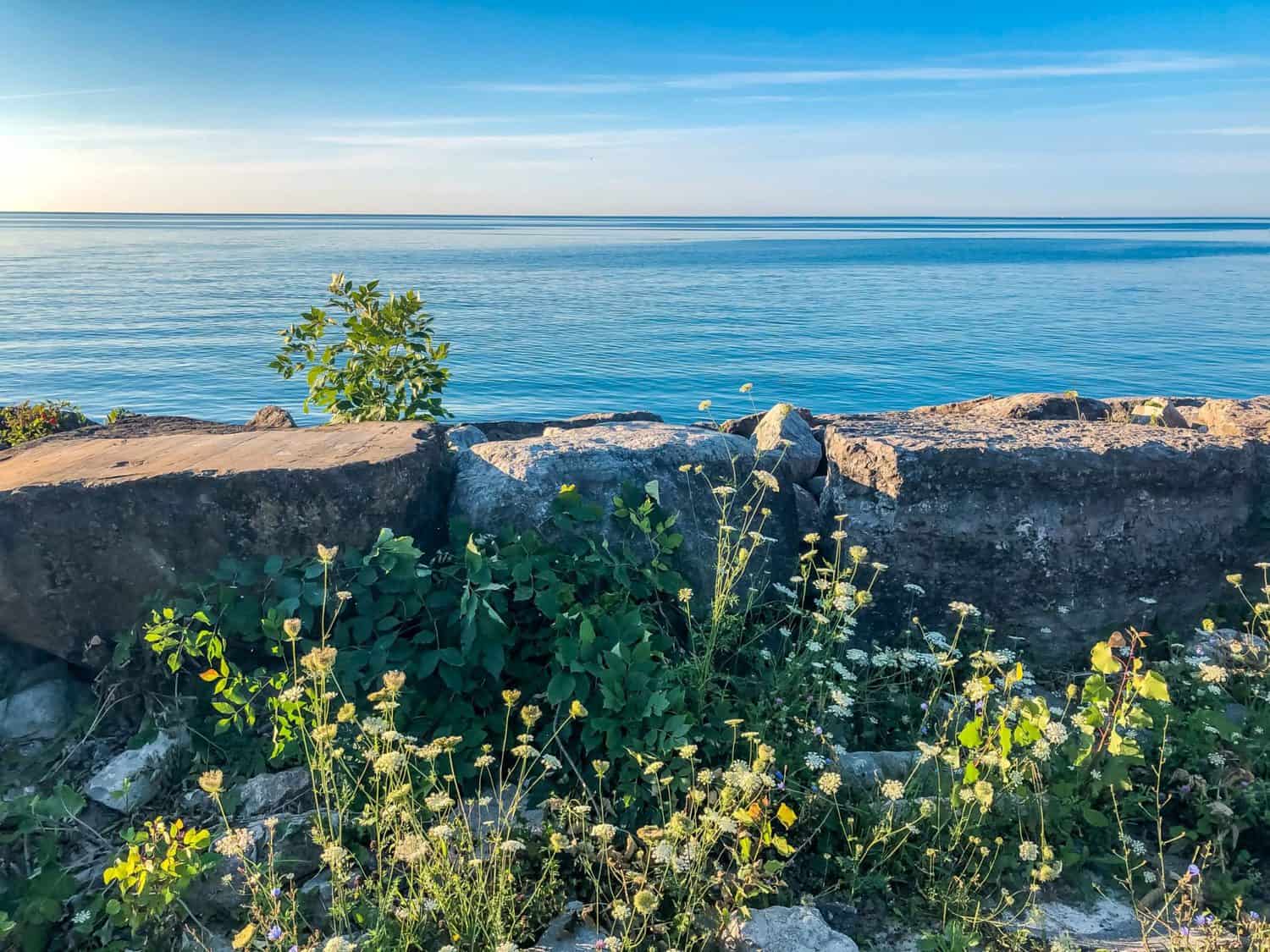Scarborough Bluffs Trail: Hiking to the Best Lookout 22 Lookout over lake Ontario from the Bluffs