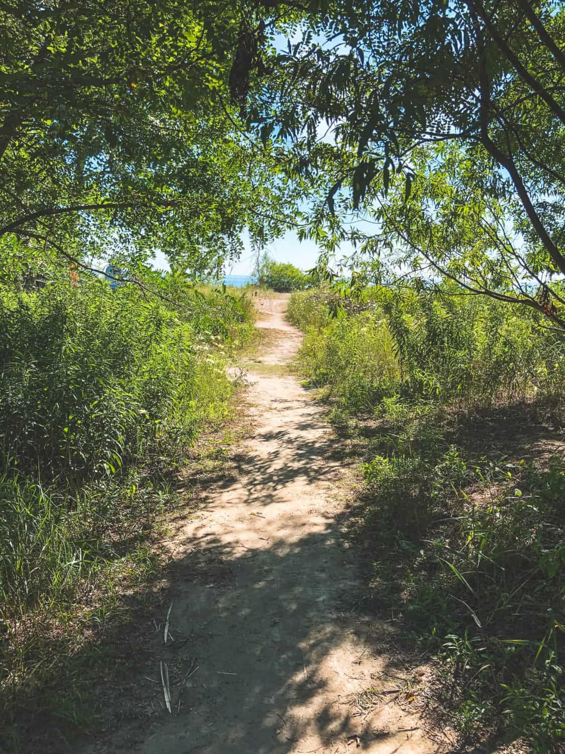 Scarborough Bluffs Trail: Hiking to the Best Lookout 10 Cathedral Trail behind the Scarborough Bluffs beach