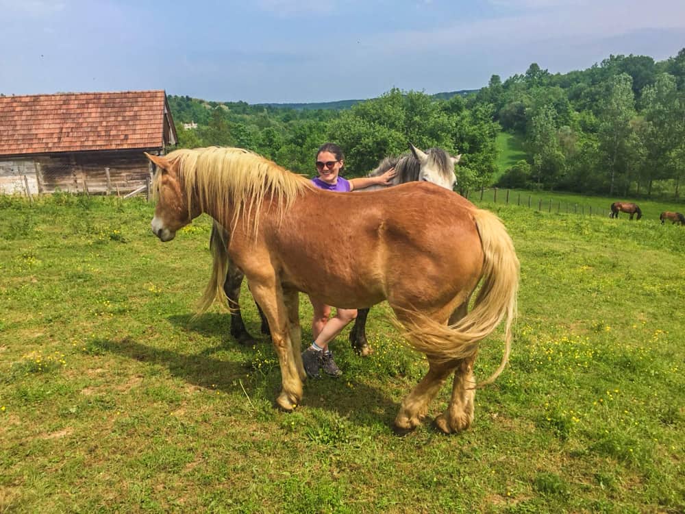 Workaway Reviews: My Experience Volunteering Abroad 38 IMG 6194