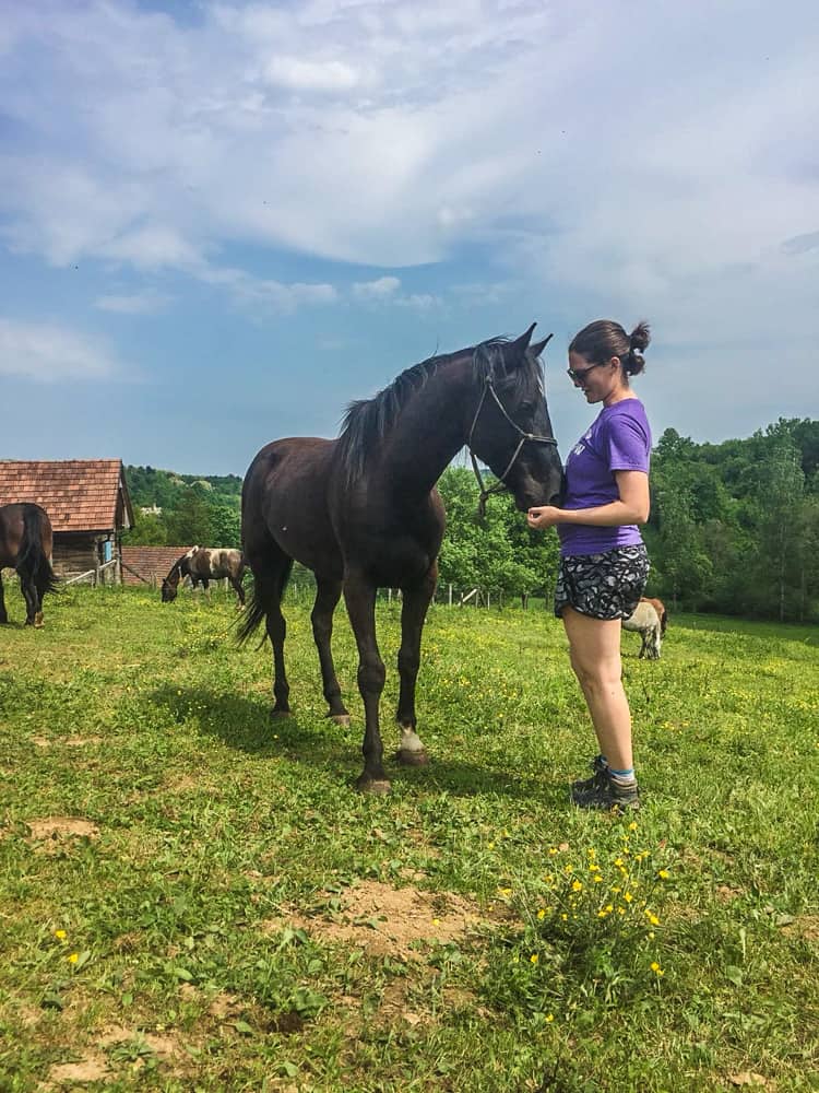 Workaway Reviews: My Experience Volunteering Abroad 37 IMG 6199