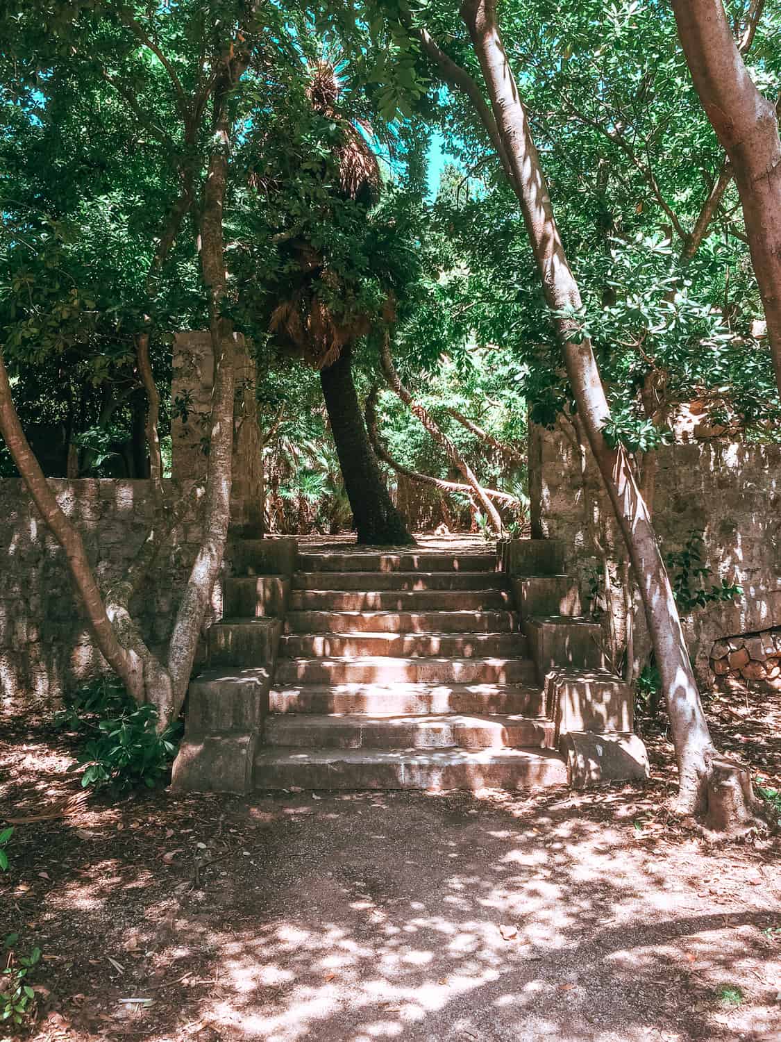 Lokrum Island: Dubrovnik's Best Kept Secret 7 IMG 6850