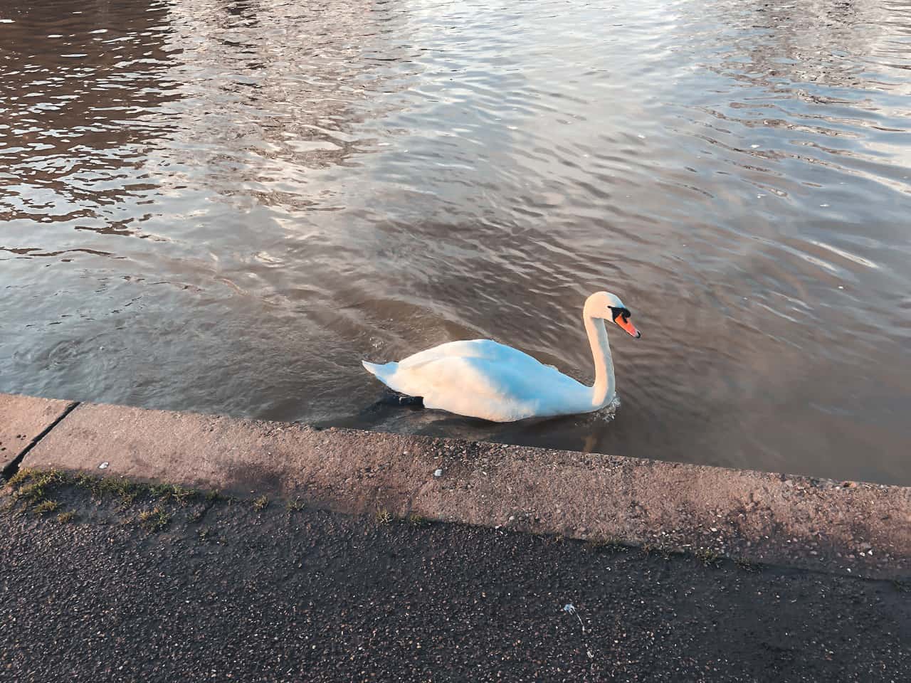 Best Stratford Upon Avon Day Trip Itinerary (2024) 4 IMG 9805