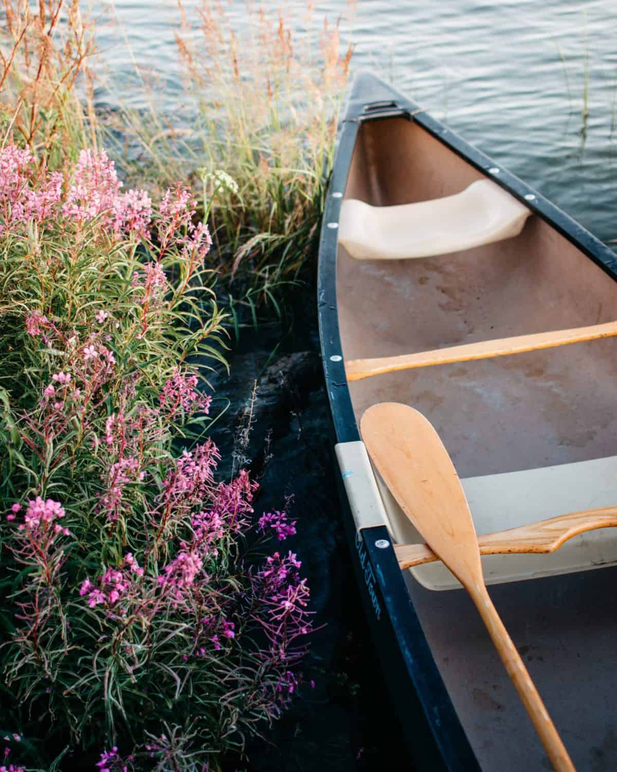 15 Unique Solo Staycation Ideas for Singles 10 Purple flowers beside a black canoe on a lake for an adventure staycation idea