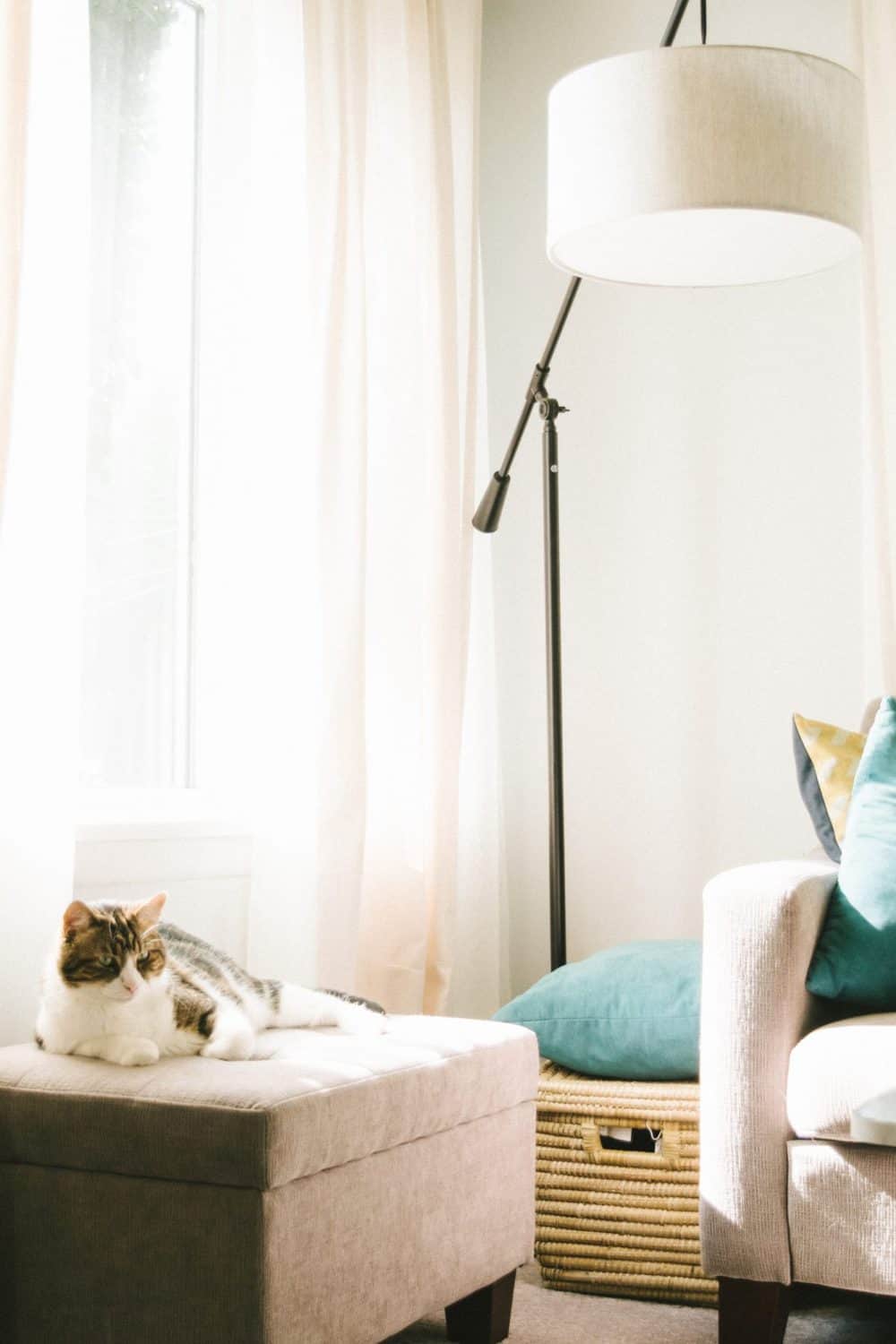 15 Unique Solo Staycation Ideas for Singles 17 Cozy living room with grey couches, turquoise pillows and a cat lounging on an ottoman