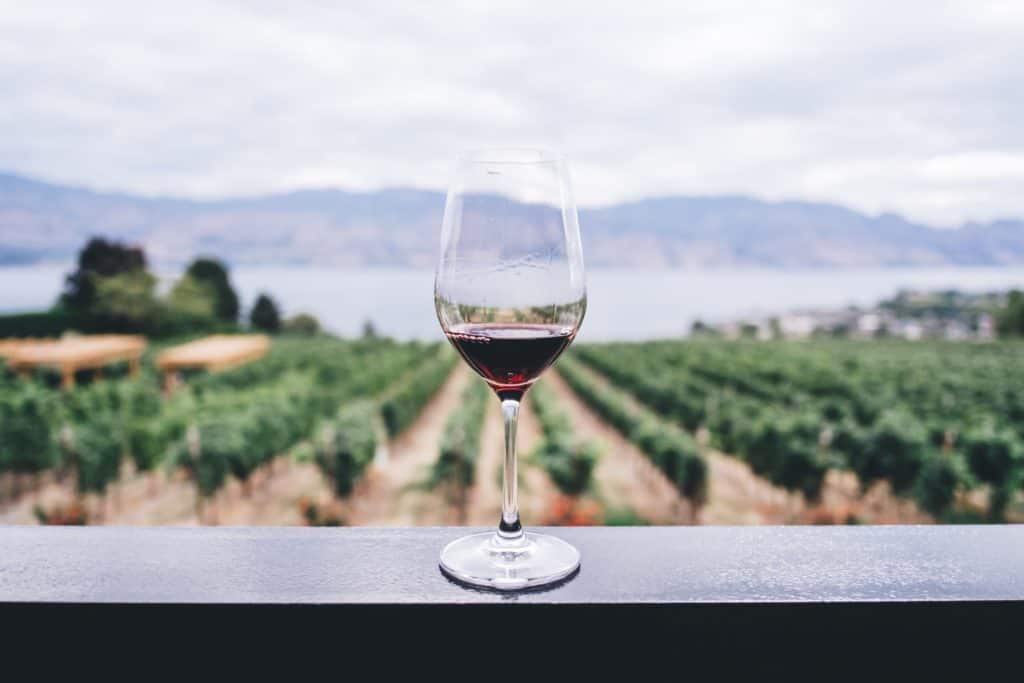 85 Best Solo Travel Quotes and Captions for Instagram 2024 7 Wine glass sitting on a railing in front of vineyards for a food-related Instagram solo travel caption