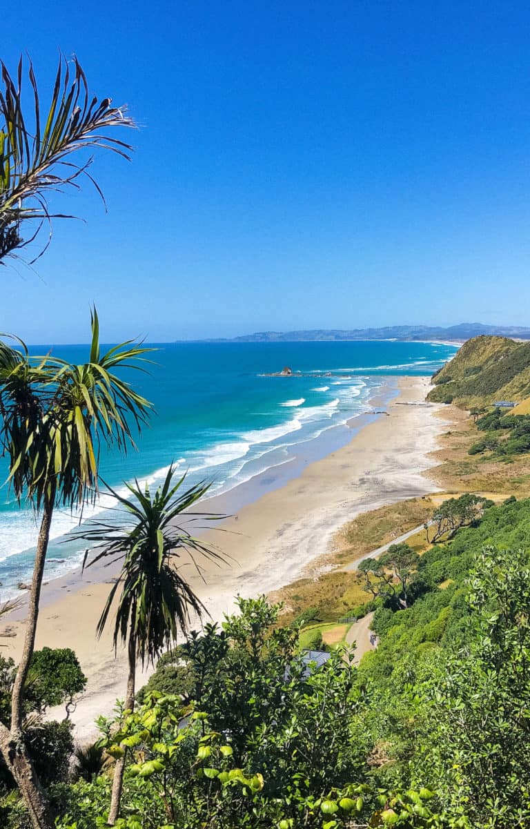 Pros and Cons of Living in New Zealand