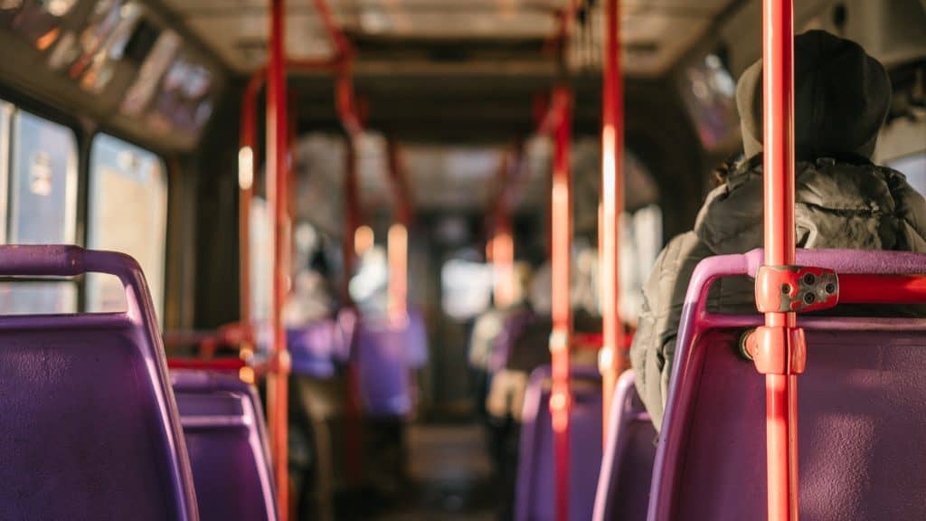25 Pros and Cons of Living in New Zealand 6 Bus with purple seats