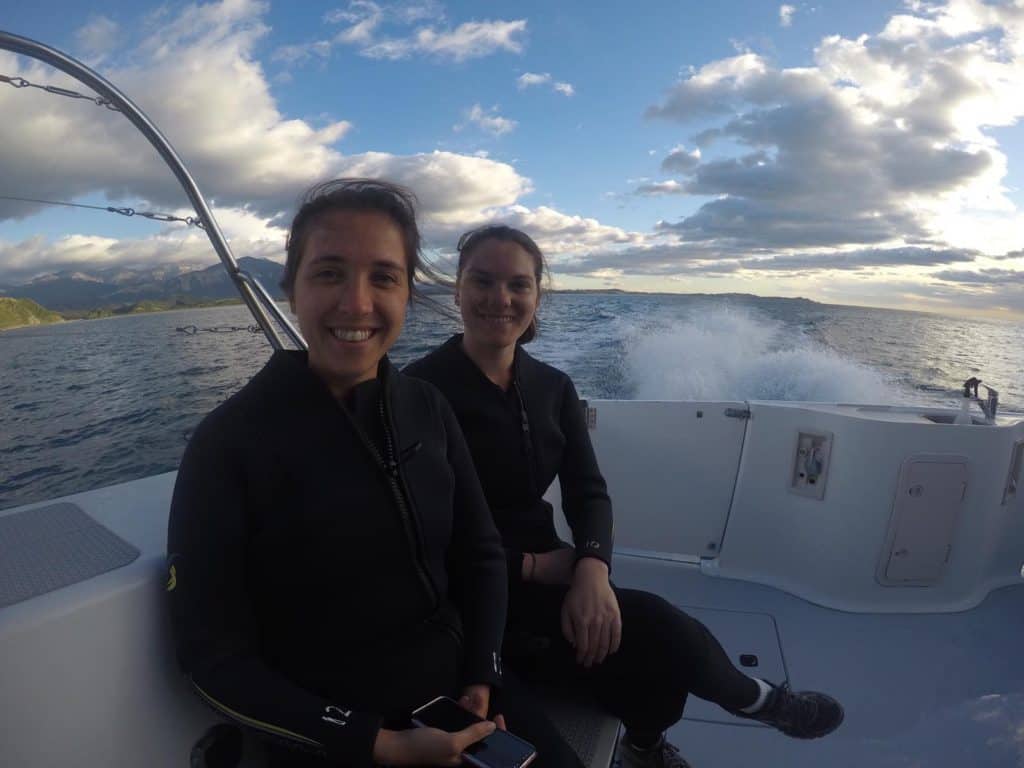 Best Place to Swim with Wild Dolphins in New Zealand 5 View of Nina and friends in wetsuits on the boat in Kaikoura