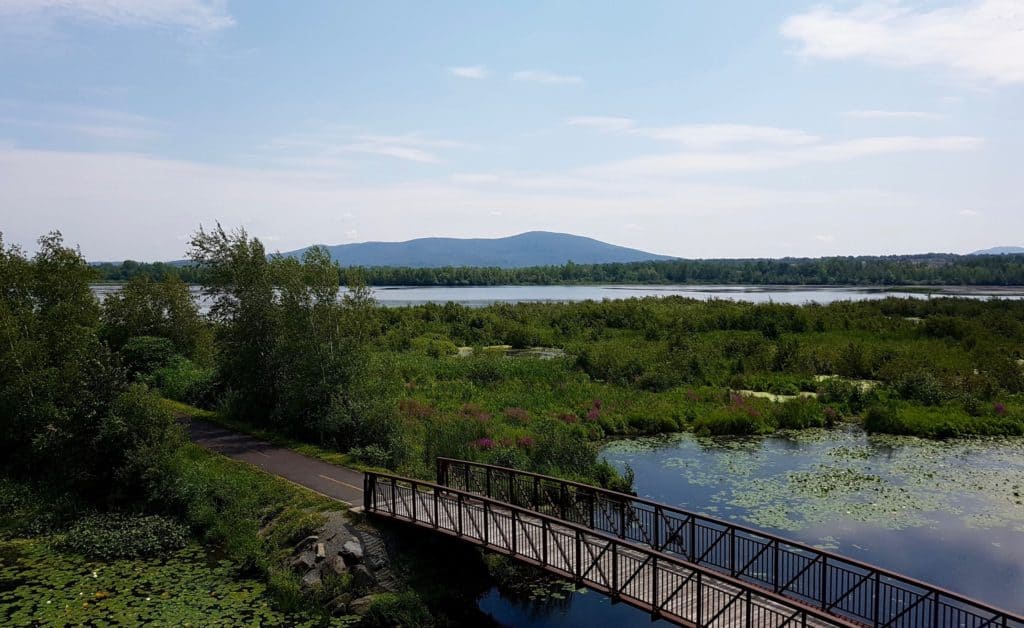 Best Quebec Road Trip (An Epic 2 Week Itinerary) 6 Mountain landscape view with lush greenery and a brown walking bridge in the foreground. View of the Eastern Townships in Quebec.