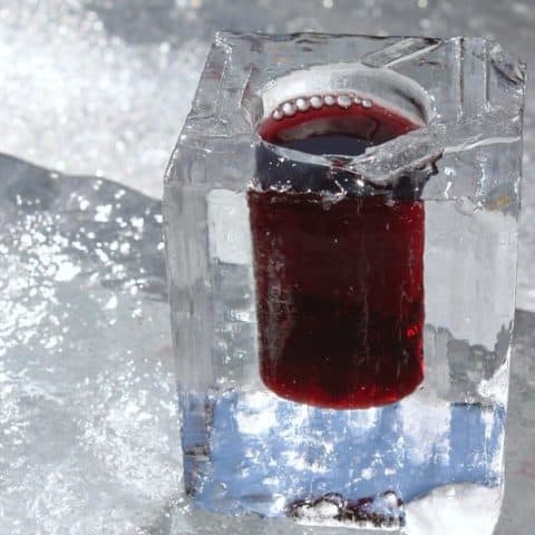 10 Delicious Canada Cocktail Recipes to Try (2024) 6 Caribou Cocktail