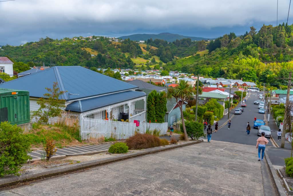 101 New Zealand Fun Facts To Know Before You Go (2024) 7 Baldwin steepest street in New Zealand with people and cars on it.