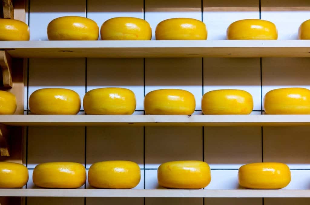 Canada Cuisine to Try: Traditional Food Canada is Famous For 12 Yellow rind cheese wheels on shelves
