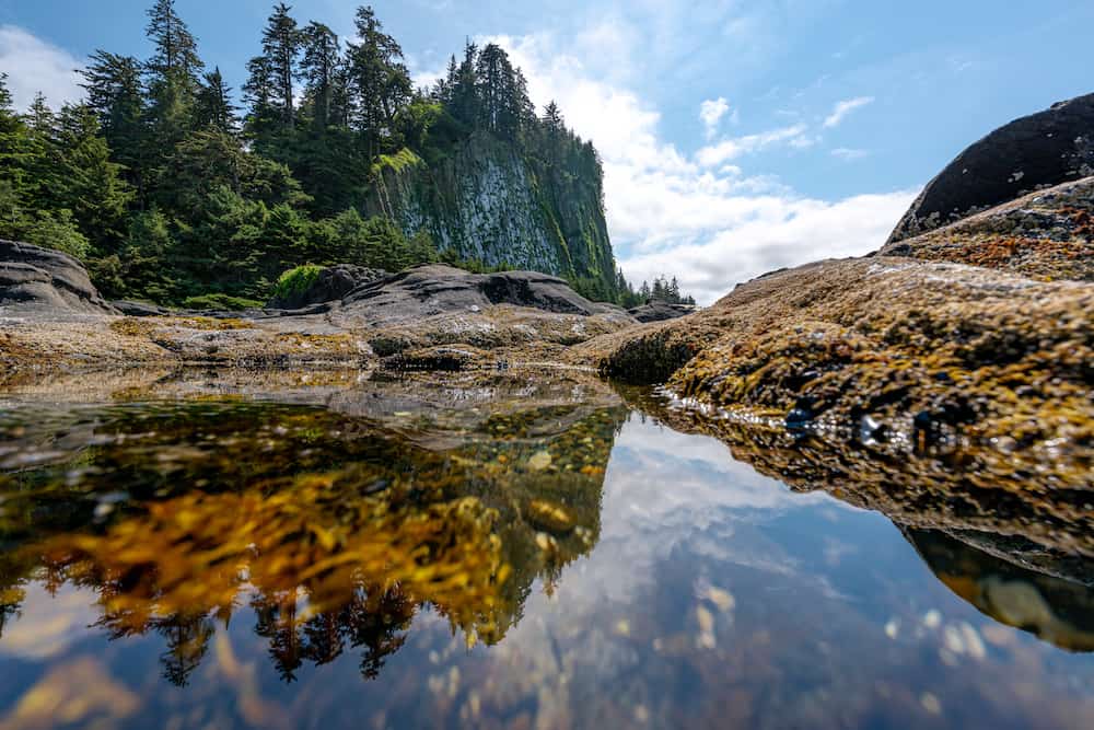83 Bucket List Canada Things to Do in 2025 from a Canadian 15 Haida Gwaii's unique landscape with tide pools on the rocky outcroppings and mountains in the distance.