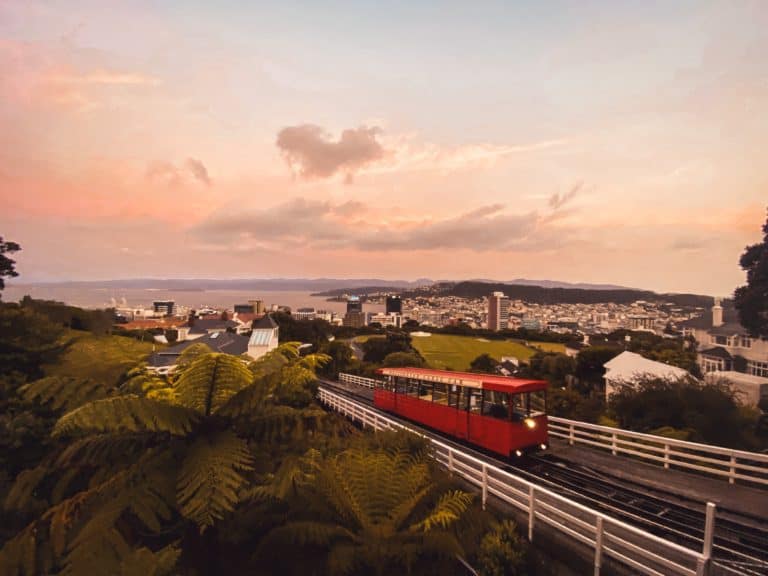 20 Best Things to Do in Wellington, New Zealand