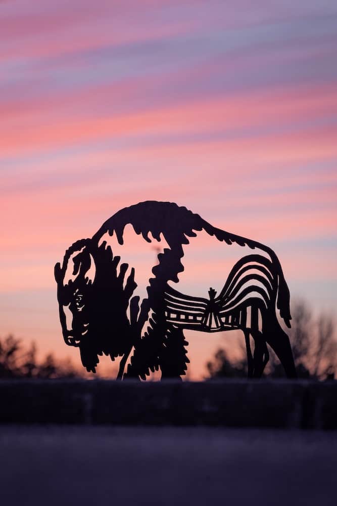 83 Bucket List Canada Things to Do in 2025 from a Canadian 30 Buffalo sculpture in front of a sunset at the First Nations University in Canada.