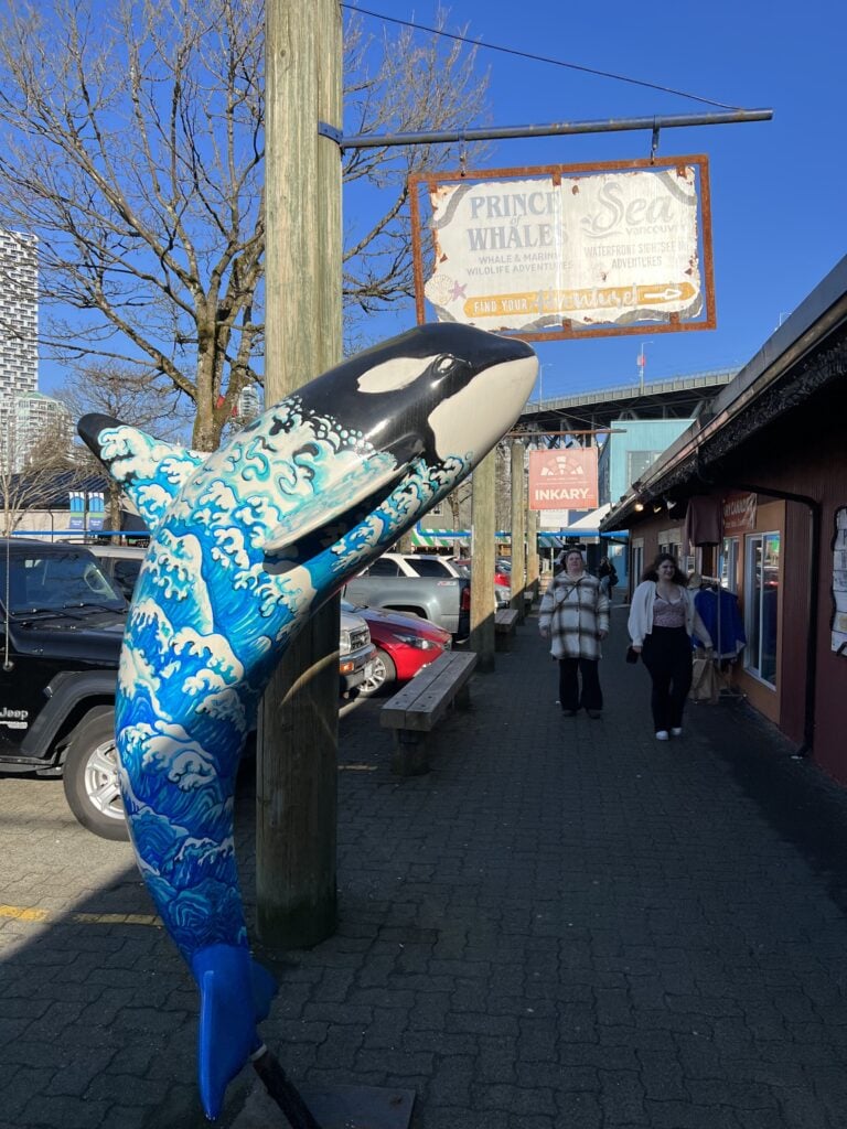 83 Bucket List Canada Things to Do in 2025 from a Canadian 6 A vibrant blue and white painted orca statue in front of the Prince of Whales Whale Watching sign in Vancouver, showcasing local street art and Canadian wildlife tourism attractions.
