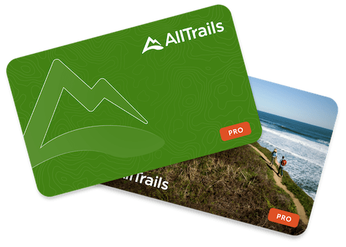 65+ Unique Travel Gifts for Her 2023: Useful Gifts She'll Love 57 alltrailscard