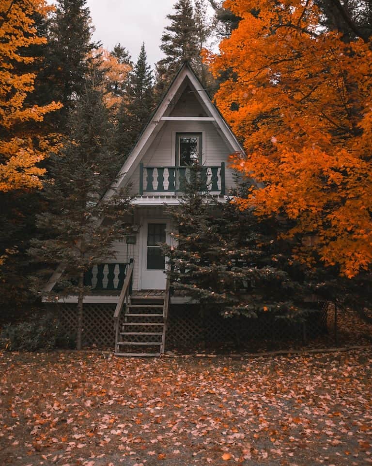 20 Cozy Cabins in Ontario for an Autumn Weekend Getaway 38 20 Cozy Cabins in Ontario for an Autumn Weekend Getaway