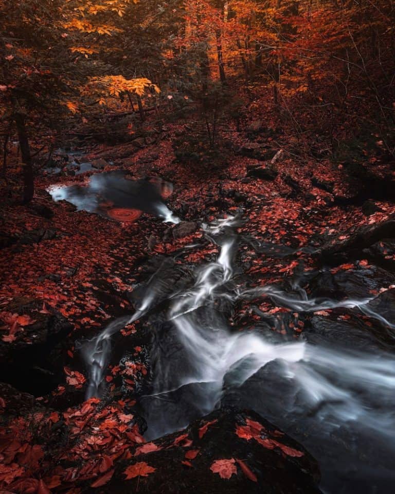 14 Best Places to See Fall Colours in Ontario 2024