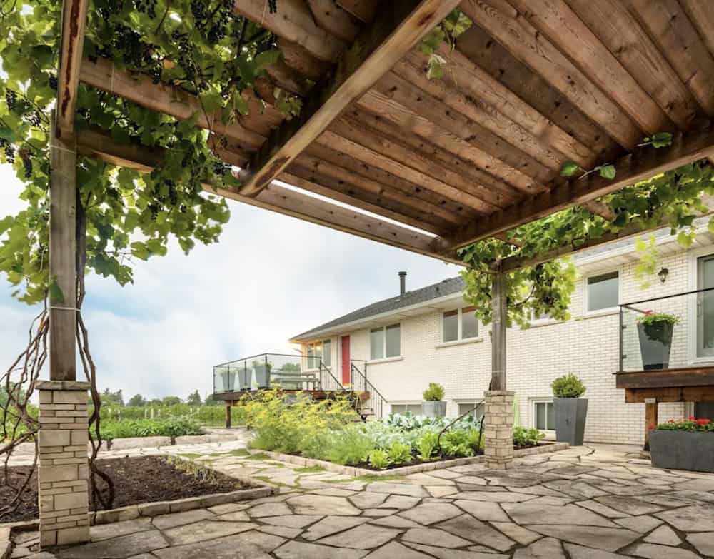 20 Cozy Cabins in Ontario for an Autumn Weekend Getaway 14 Covered porch with vines looking out onto a vineyard. Attached to a cozy cabin in Ontario