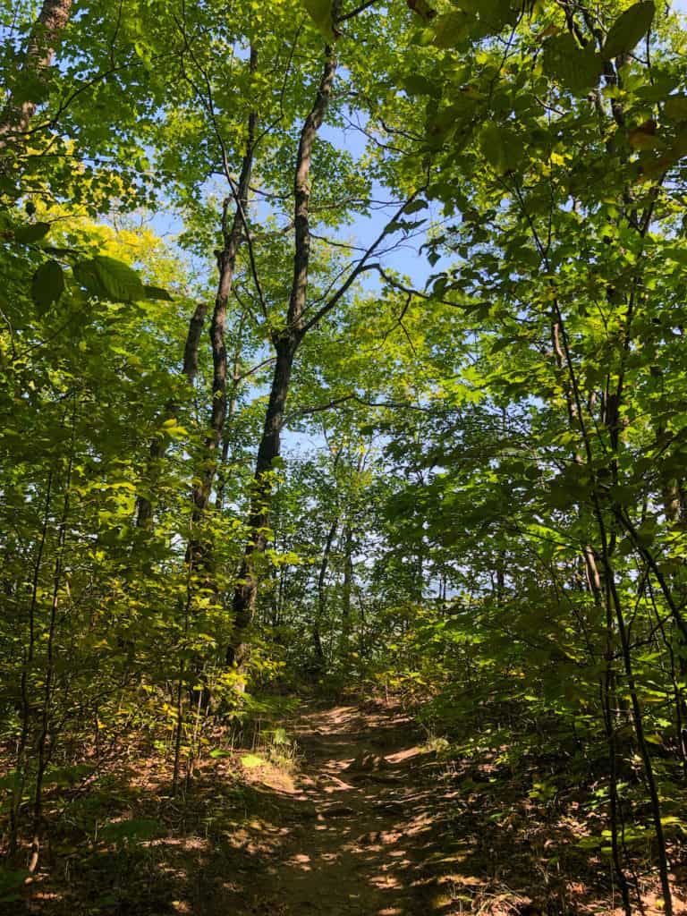 Hiking the Cup and Saucer Trail on Manitoulin Island 4 cup and saucer foliage trail