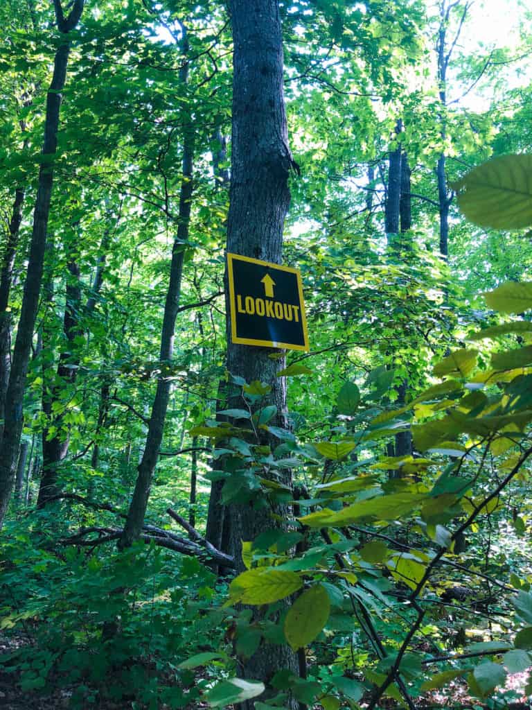Hiking the Cup and Saucer Trail on Manitoulin Island 16 Guided signs throughout the trail