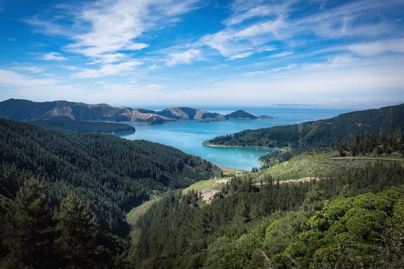 18 Best Things to Do In South Island of New Zealand 2024 1 Picton harbour is a must see place in New Zealand South Island