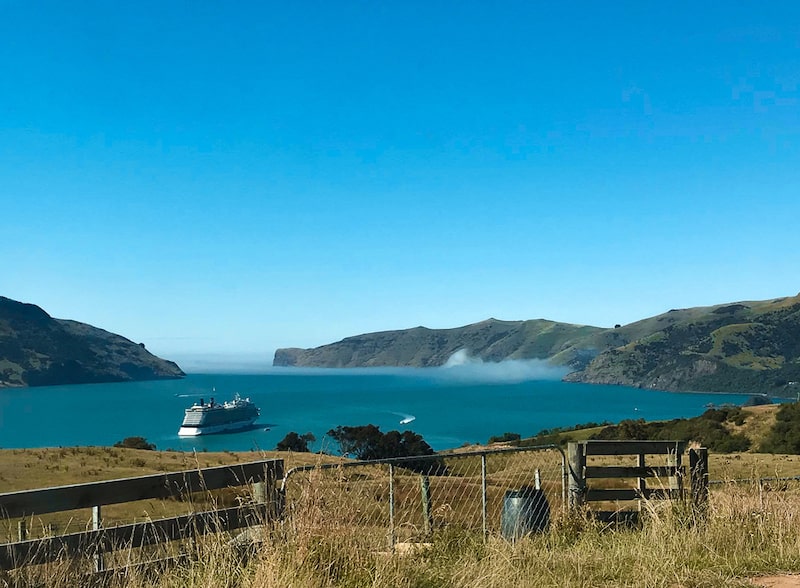 Ultimate New Zealand Bucket List: 79 Best Things to Do 2024 18 View over Akaroa harbour, where you can take a dolphin cruise