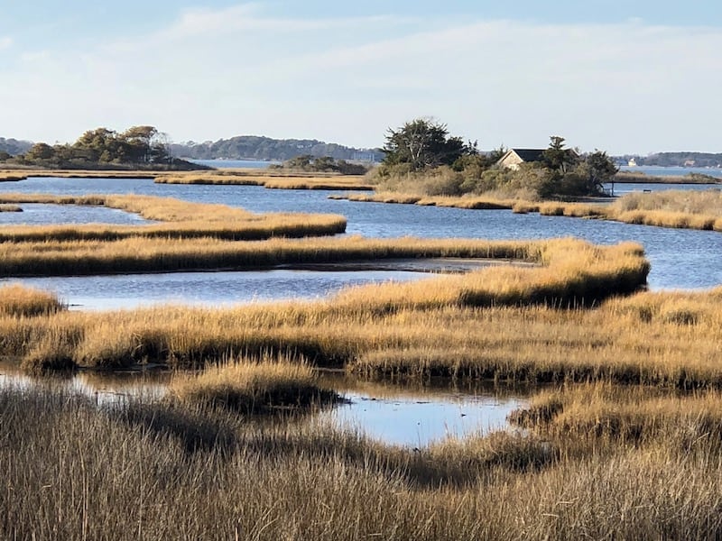 20 Most Beautiful States in the USA in 2024 7 Maryland Annapolis views over the marsh