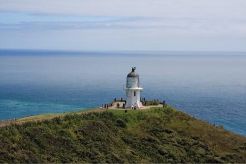 New Zealand Travel Guide 13 Travel to Cape Reinga