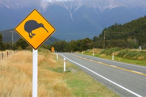New Zealand Travel Guide 6 Tips and Tricks for New Zealand travel guide