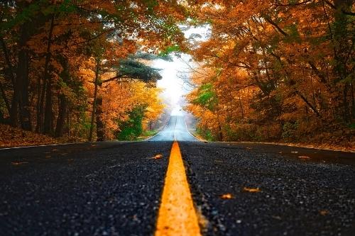 Canada Travel Guide 36 Fall in Ontario guide